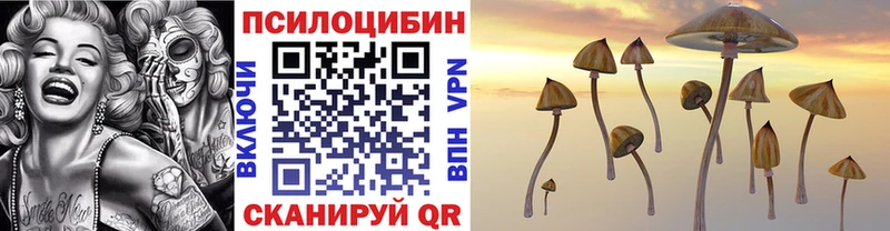 Купить где  Циолковский  Псилоцибиновые грибы GOLDEN TEACHER 